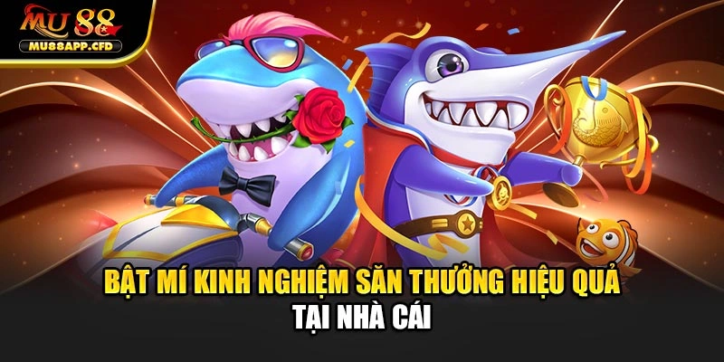 Bật mí kinh nghiệm săn thưởng hiệu quả tại nhà cái