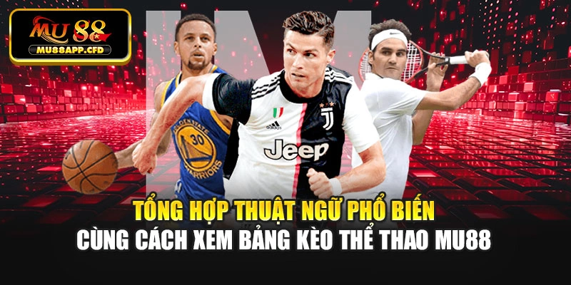 Tổng hợp thuật ngữ phổ biến cùng cách xem bảng kèo thể thao Mu88